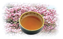 紫イペ茶（タヒボ茶）